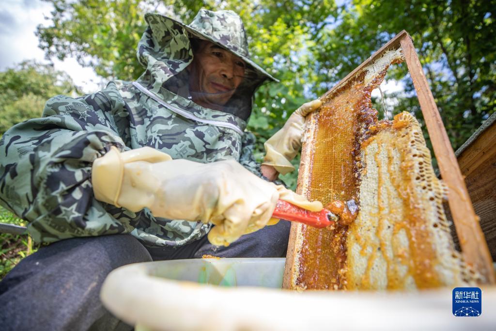 银河电玩城注册送50万